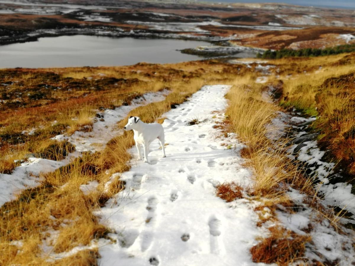 The Fisherman'S Snug Self Catering North Uist Paible المظهر الخارجي الصورة