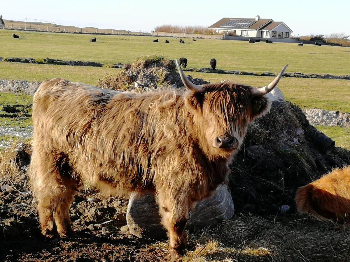 The Fisherman'S Snug Self Catering North Uist Paible المظهر الخارجي الصورة