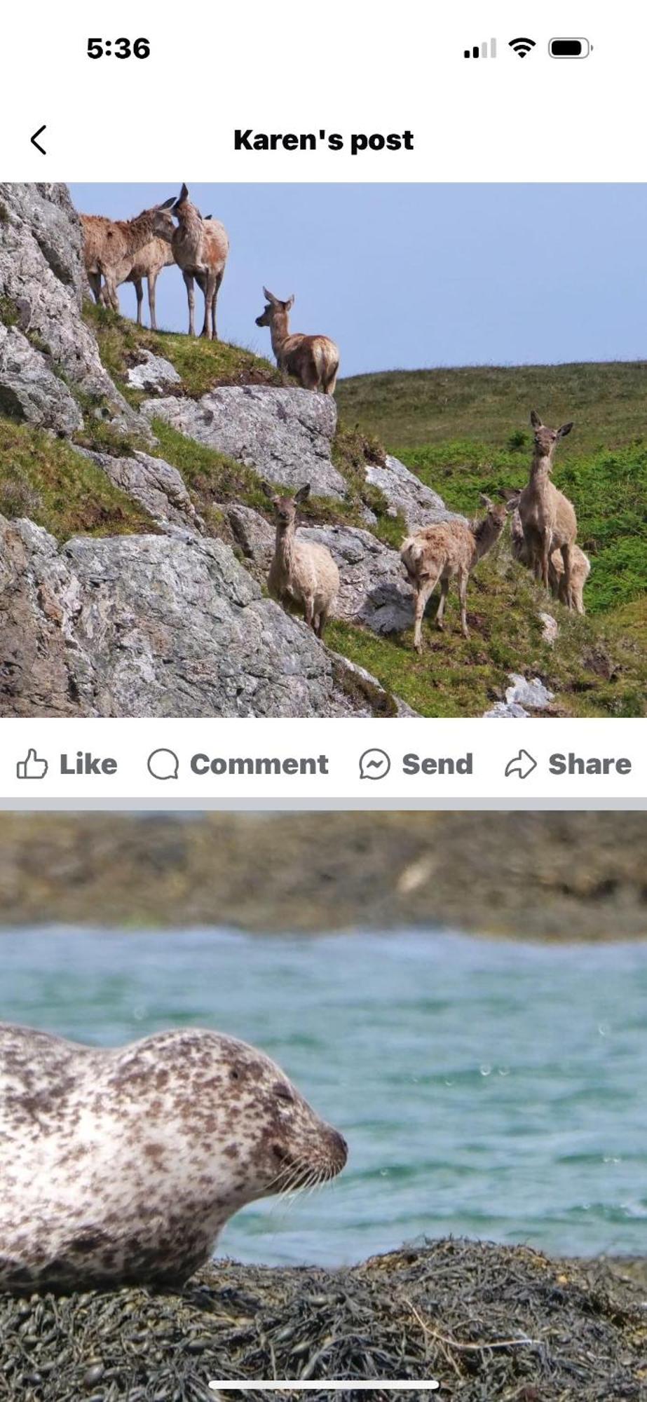 The Fisherman'S Snug Self Catering North Uist Paible المظهر الخارجي الصورة